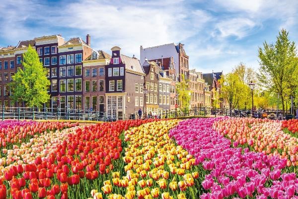 Amsterdam & floraison des tulipes 11
