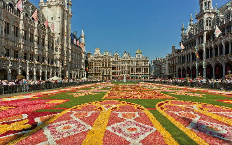 Magnifique Belgique & les fleurs 2