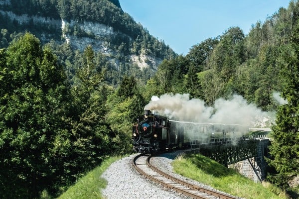 Fleurs & train à vapeur du lac de Constance Fleurs & train à vapeur du lac de Constance 7