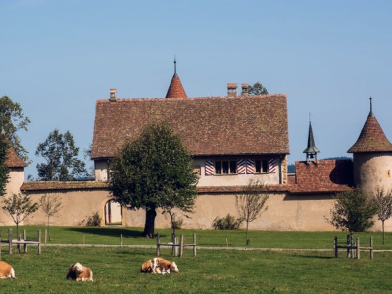 Das Traumschlösschen im Jura 2