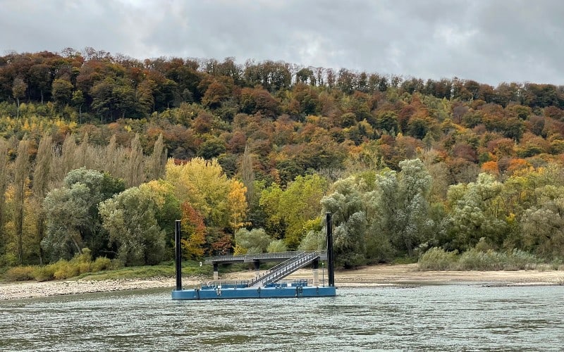 Rhein- & Moselromantik 49