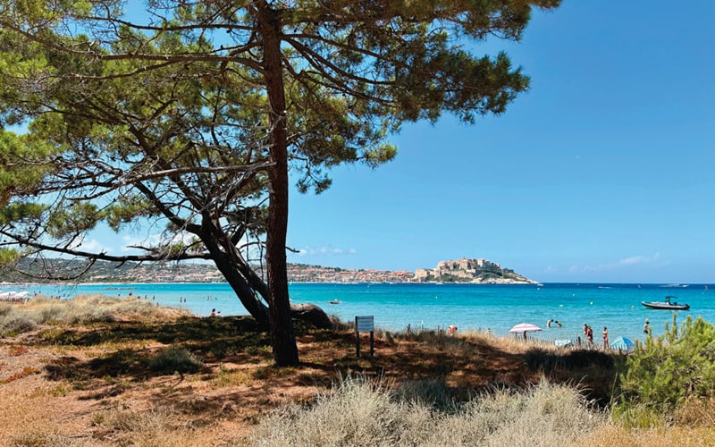 Korsika - Insel der Schönheit 1