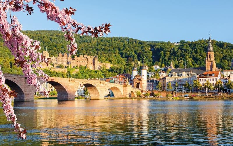 Heidelberg, Blütenpracht & Weingenuss 2