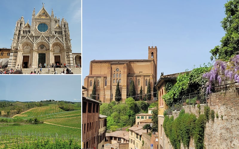 Siena, Rom & Assisi mit Susanne Godli 5