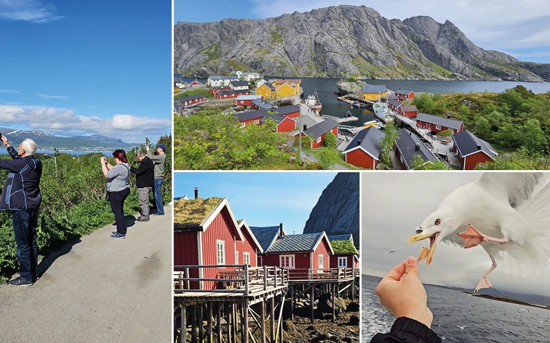 Ein malerisches Fischerdorf auf den Lofoten mit bunten Häusern und Booten im Hafen, umgeben von Bergen.