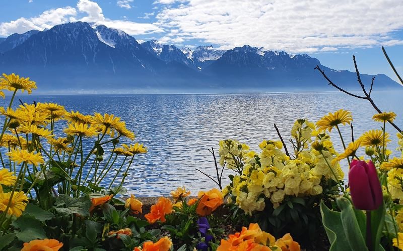Vom Berner Oberland zum Mont Blanc mit Viola Schärer 1