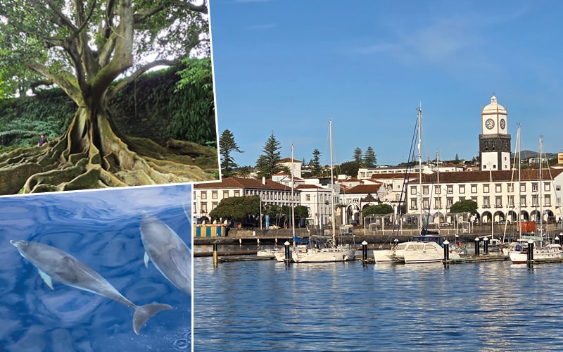 Azoren, Blütentraum im Atlantik mit Susanne Godli 8