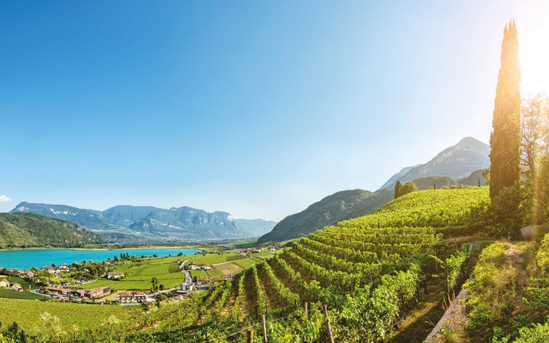Herbstzauber im Südtirol 1