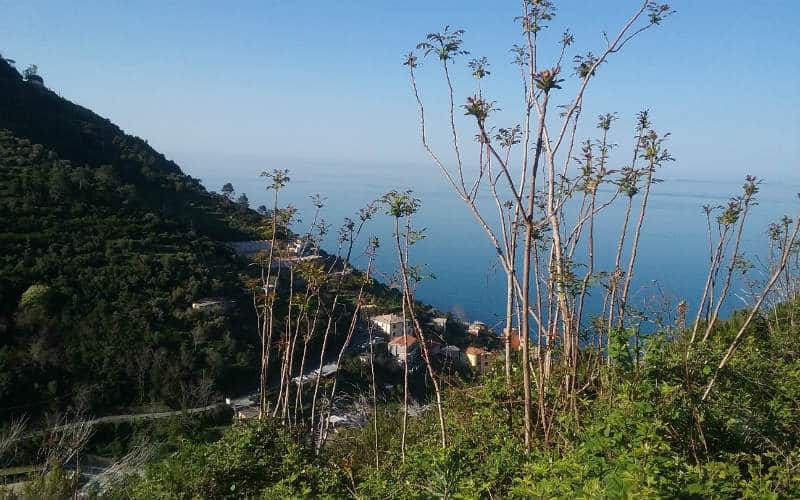 Cinque Terre, Insel Elba & San Gimignano 14