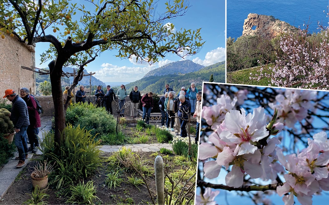 rb_rozanski_dflmama_4 Mandelblüte auf Mallorca mit Daniel Rozanski 5