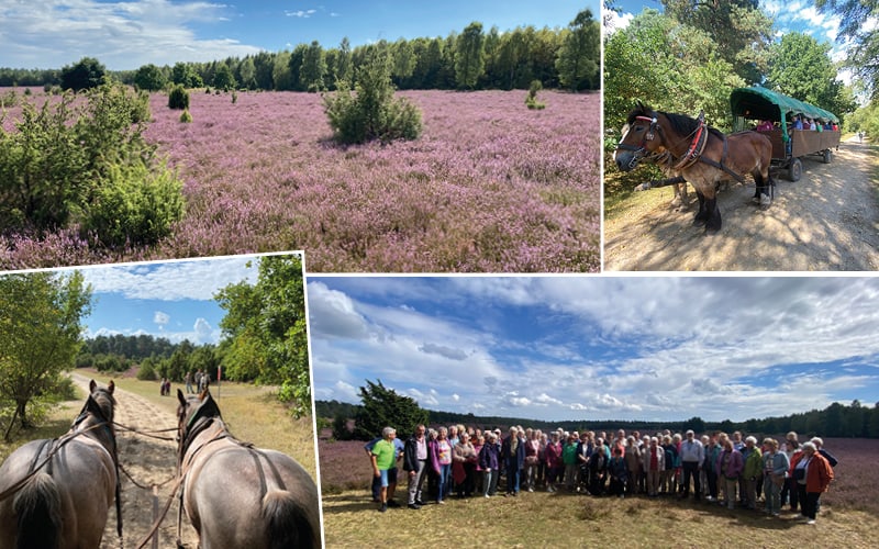 Blütezeit in der Lüneburger Heide mit Daniel Rozanski 33