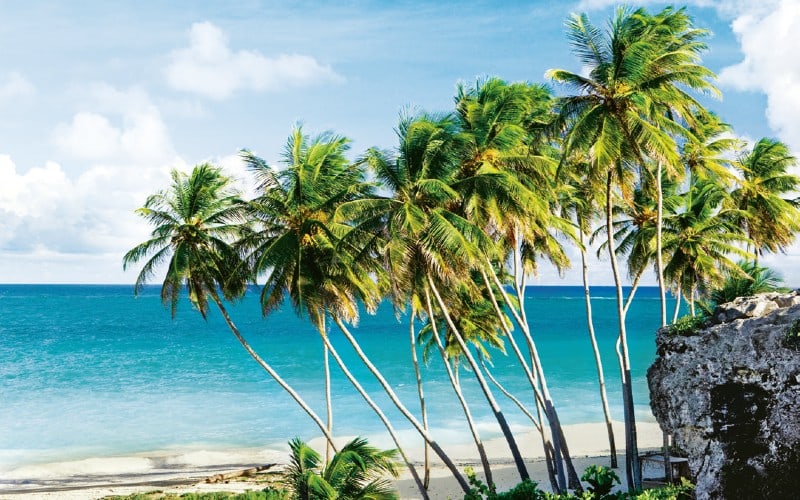 Karibik-Transatlantik Kreuzfahrt - Mein Schiff 1 1