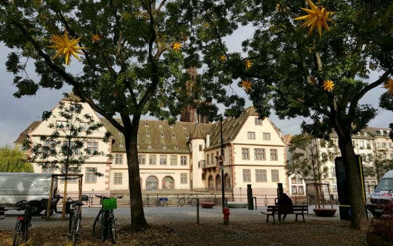 Goldener Herbst auf dem Rhein 23
