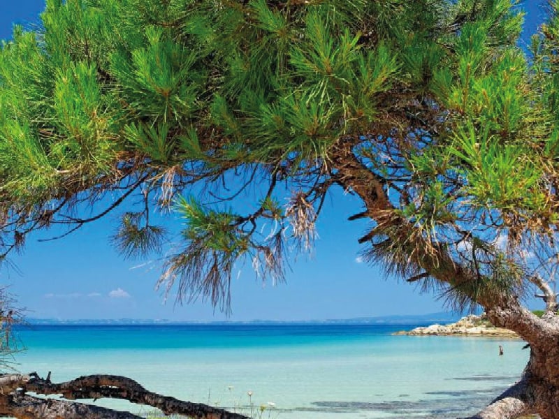 Halbinsel Chalkidiki mit Walter Unternährer 19