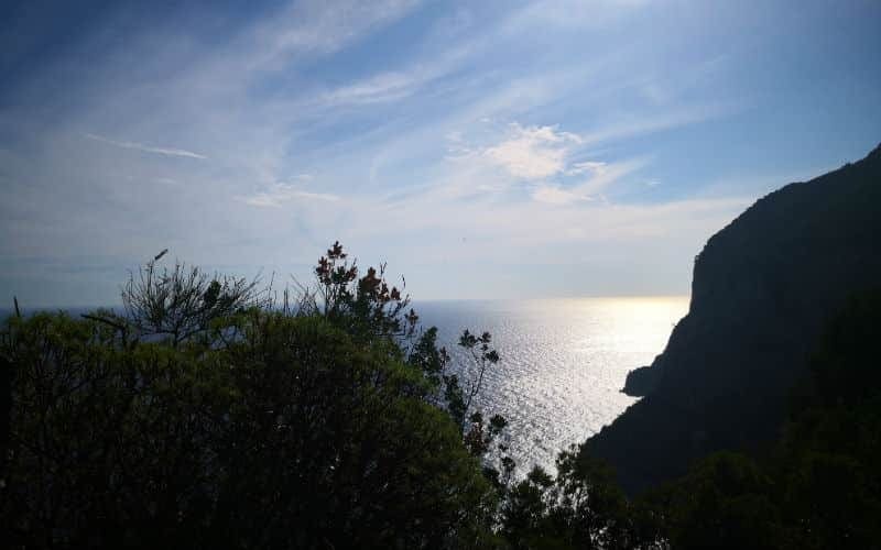 Elbe - Ischia - Capri 22