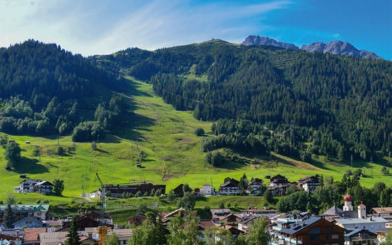 Fleurs & train à vapeur du lac de Constance 2