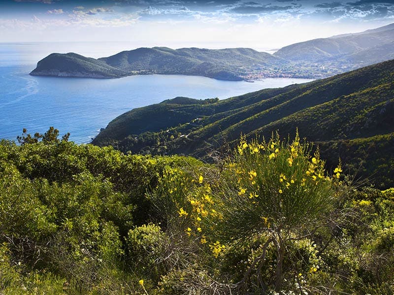Grüne Insel Elba mit Blick aufs Meer