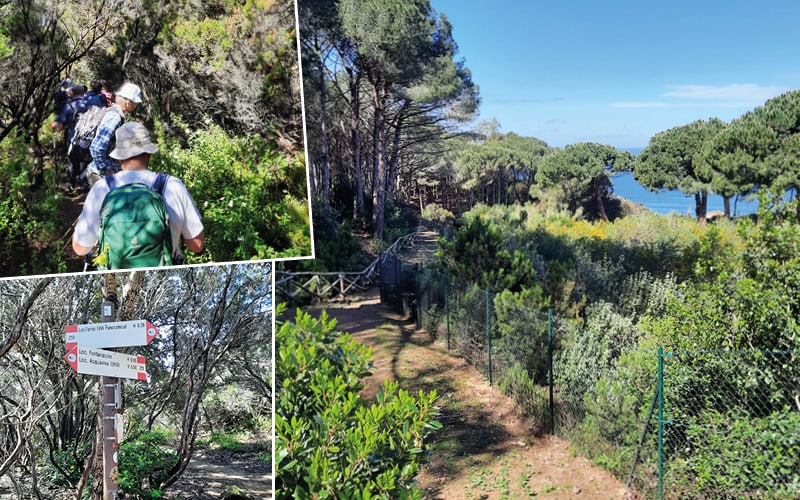 Wandern auf Elba mit Roger Müller 3