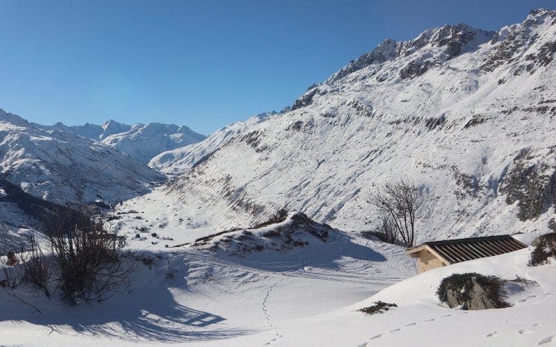 Bernina- & Glacier-Express im Winter 54