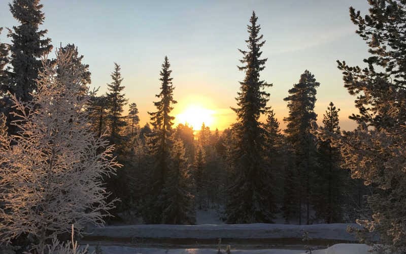 Fantastische Polarlichtzeit in Finnisch Lappland 11