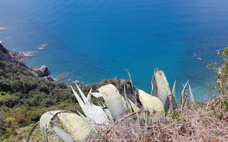 Frühlingswanderung in den Cinque Terre mit Beatrice Greve 34