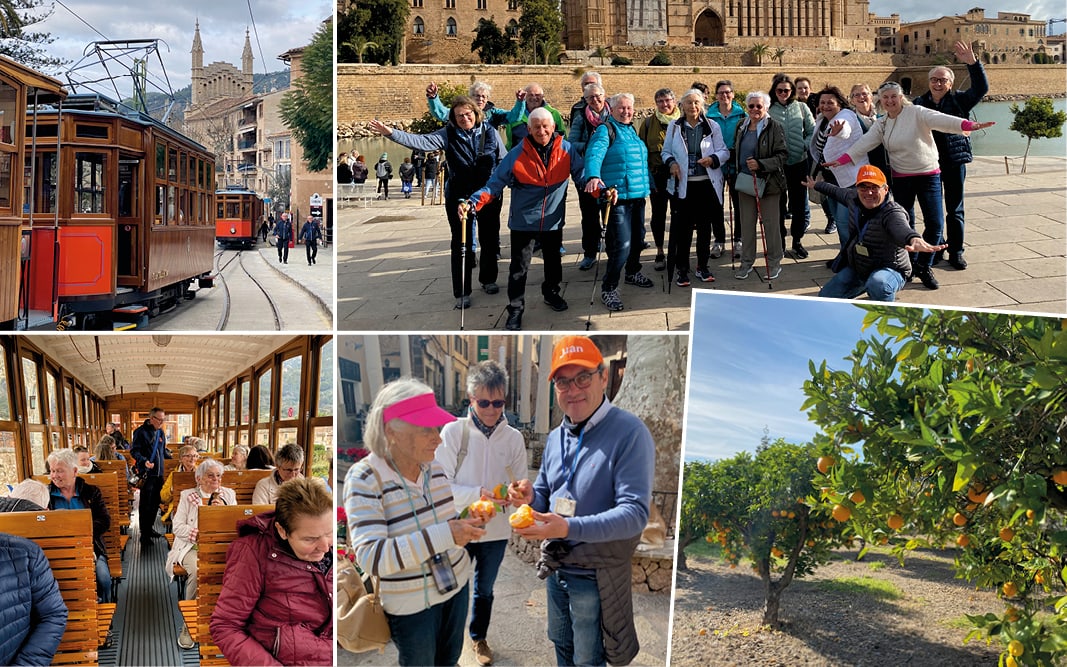 rb_rozanski_dflmama_5 Mandelblüte auf Mallorca mit Daniel Rozanski 6