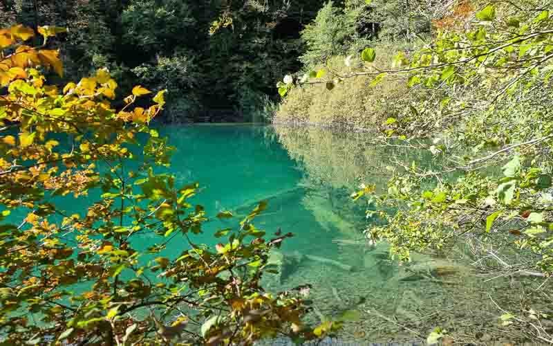 Plitvice Nationalpark & der Schatz am Silbersee mit Daniele Degiorgi 31