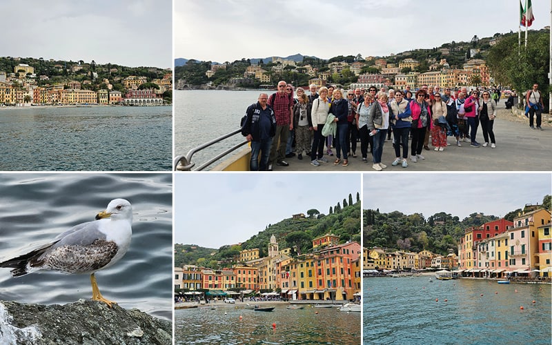 Portofino & Cinque Terre mit Viola Schärer 8