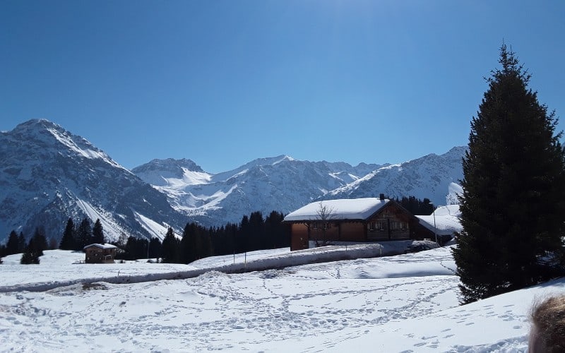 Un hiver de conte de fées en Suisse 16