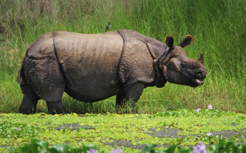 Nepal - zwischen Himalaya & Spiritualität 7