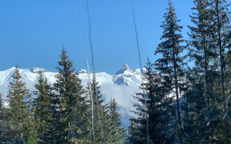 Vom Berner Oberland zum Mont Blanc 31