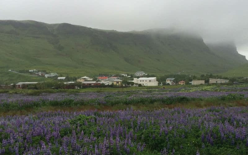 Les merveilles natures de l'Islande 14