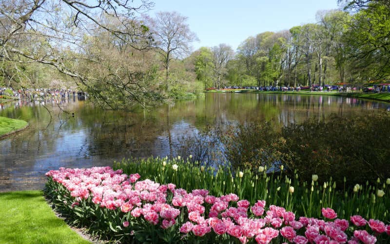 Amsterdam & Tulpenblüte 7
