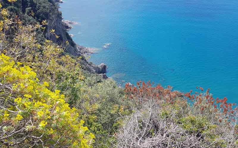 Frühlingswanderung in den Cinque Terre mit Beatrice Greve 33
