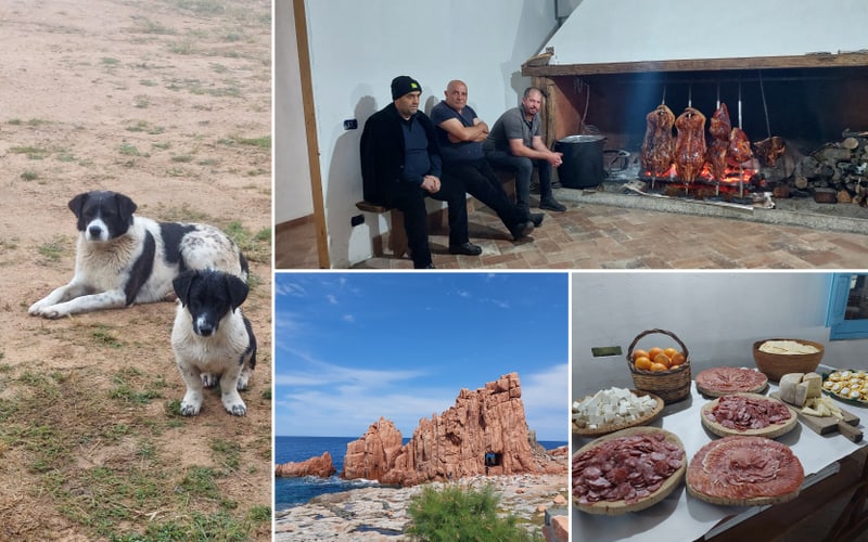 Grosse Sardinien Rundreise mit Steffy Wunderlich cartours.ch